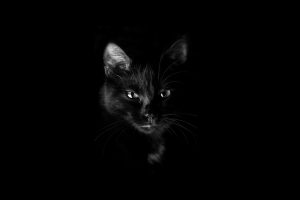 superstizioni magia e gatto nero